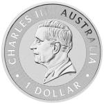 2024 Perth Mint Australian Kangaroo 1 oz Silver Coin