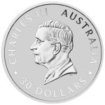2024 Perth Mint Kookaburra 1 Kilo Silver Coin