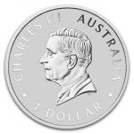 2025 Kookaburra 1 oz Silver Coin