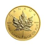 Maple Leaf 1/2 oz Gold Coin