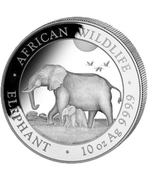 2022 Elephant 10 oz Silver Coin