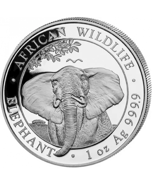 2021 Somalia Elephant 1 oz Silver Coin