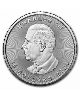 2024 Canadian Maple Leaf 1 oz Platinum Coin