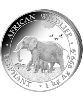 2022 Elephant 1 Kilo Silver Coin