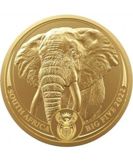 2022 South African Big Five Elephant 1 oz  Gold Coin