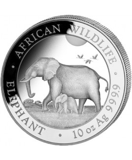 2022 Elephant 10 oz Silver Coin