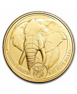 2024 South African Big Five Elephant 1 oz  Gold Coin