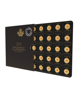  Maplegram25 - Maple Leafs 25 x 1 gram Gold Coin