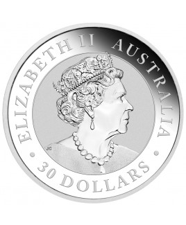 2023 Perth Mint Kookaburra 1 Kilo Silver Coin