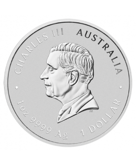 2025 Perth Mint Year of the Snake1 oz Silver Coin 