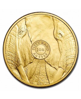 2024 South African Big Five Elephant 1 oz  Gold Coin